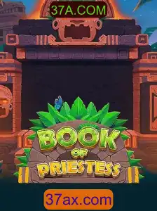 Desvendando os Segredos de BookOfPriestess